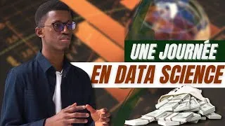 Miniature : Ce Métier Paie Très Bien ! La Vraie Vie d'un Data Scientist : Ce que Vous N'entendrez nulle part!