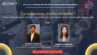 Miniature : Webinaire du RTID - La codécision : mythe ou réalité ?
