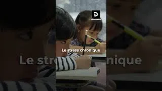Miniature : Ils campent depuis plusieurs jours pour assister au concert de Mylène Farmer !