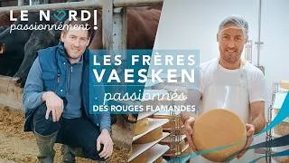 Miniature : Des fromages pour sauver les vaches Rouge flamande