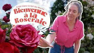 Miniature : C'est dans le Val-de-Marne : Bienvenue à la Roseraie du Val-de-Marne