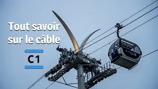 Miniature : Tout savoir sur le câble C1