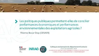 Miniature : Concilier performances économiques et performances environnementales des exploitations agricoles