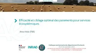 Miniature : Efficacité et ciblage optimal des paiements pour services écosystémiques