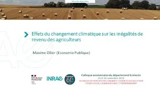 Miniature : Effets du changement climatique sur les inégalités de revenu des agriculteurs