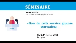 Miniature : Séminaire de Barak Rotblat:"How do cells survive glucose starvation"