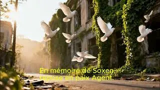 Miniature : En mémoire de Soxen 🧡