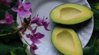 Miniature : L'AVOCAT, LE COÛT D'UN SUPERFRUIT
