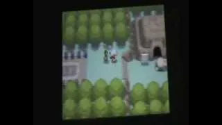 Miniature : Avoir plusieurs "restes" dans pokémon Or Heartgold