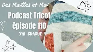 Miniature : Podcast tricot 110 : J'ai craqué ! - j'élimine mes restes #podcasttricot   #tricot #vlogtricot