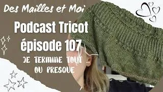 Miniature : Podcast tricot 107 : Je termine presque tout !  #podcasttricot #tricotaddict   #tricot #vlogtricot