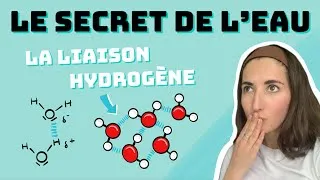 Miniature : Les liaisons hydrogène : origine, caractéristiques et conséquences