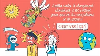 Miniature : C’est vrai ça – Lutter contre le changement climatique, c’est pour sauver les ours polaires ?