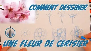 Miniature : [DESSINER-FACILE] Techniques de dessin fleur de cerisier facile pour débutant