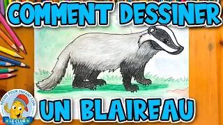 Miniature : Apprendre à Dessiner un BLAIREAU