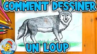 Miniature : Comment Dessiner un LOUP facilement étape par étape