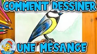 Miniature : Comment dessiner une mésange