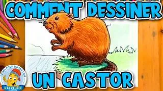 Miniature : Comment Dessiner un CASTOR