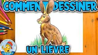 Miniature : Comment dessiner un LIEVRE étape par étape
