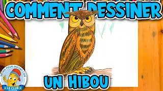 Miniature : Comment dessiner un HIBOU étape par étape