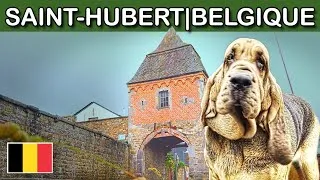Miniature : Saint-Hubert, un TRÉSOR au cœur des Ardennes