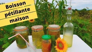 Miniature : 🍾🍺 😋BOISSON PÉTILLANTE MAISON SIMPLE, DÉLICIEUSE ET RAFRAÎCHISSANTE🍾🍺 😋