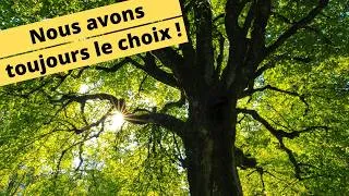 Miniature : 😀🎁🍀NOUS AVONS TOUJOURS LE CHOIX🍀🎁😀