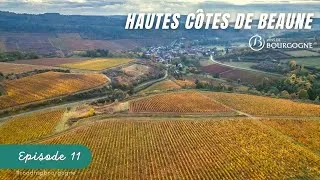 Miniature : ROAD TRIP en BOURGOGNE 🚐 Ep11 | HAUTES CÔTES de BEAUNE  🎥 🍷 | @VinsdeBourgogneBIVB