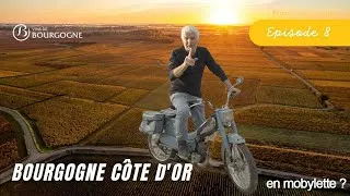 Miniature : ROAD TRIP en BOURGOGNE Ep. 8 | Bourgogne CÔTE D'OR | @VinsdeBourgogneBIVB