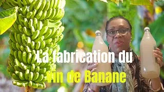 Miniature : La fabrication du Vin de Banane