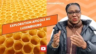 Miniature : Exploration Apicole au Luxembourg - La Magie des Abeilles 🐝