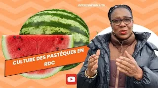 Miniature : Culture des Pastèques en RDC : Un Trésor Rafraîchissant 🌿🍉