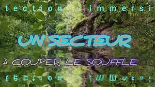 Miniature : Splendide Rivière et forêt 