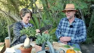 Miniature : Camping au jardin, épisode 3, chez Laurent.