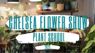 Miniature : Plant school - Planting the future conçu par Breads & Daisies
