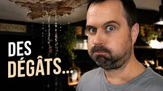 Miniature : VLOG - On a retrouvé la maison comme ça 😭