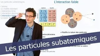 Miniature : Tout comprendre de la physique des particules