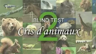 Miniature : BLIND TEST : Cris d'animaux n°2