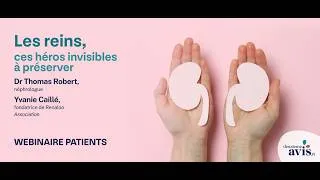Miniature : Les reins, ces héros invisibles à préserver