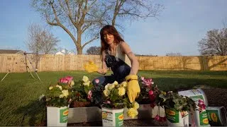 Miniature : c'est le printemps à nashville