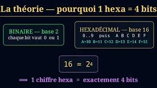 Miniature : Correction de Goku pour l’hexadécimal en java
