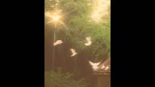 Miniature : [FREE] Timar x Tiakola - Type Beat "Luna"