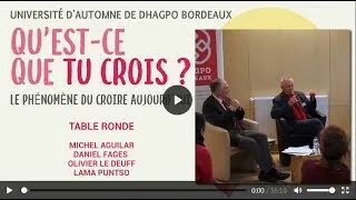 Miniature : Deuxième table ronde - Olivier Le Deuff, Daniel Fages, lama Puntso