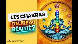 Miniature : Les chakras : délire mystique ou réalité tangible ?