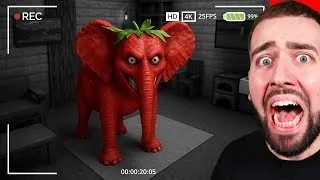 Miniature : MA CAMÉRA A FILMÉ STRAWBERRY ELEPHANT CHEZ MOI ! 😨 Caméra surveillance…