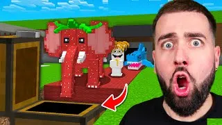 Miniature : J'ai VOLÉ Les BRAINROTS de 37 MANIÈRES CHEATÉS DIFFÉRENTES ! STEAL A BRAINROT MINECRAFT !