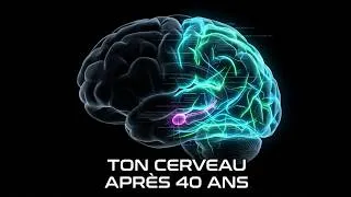 Miniature : Ce qui se passe vraiment dans le cerveau d'une femme après 40 ans