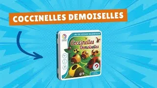 Miniature : Coccinelles Demoiselles