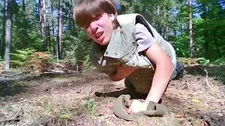 Miniature : PERDU DANS LA FORET DE ELWYN