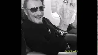 Miniature : Johnny Hallyday Comme Nous L'aimions à Voir Rock'N'Roll